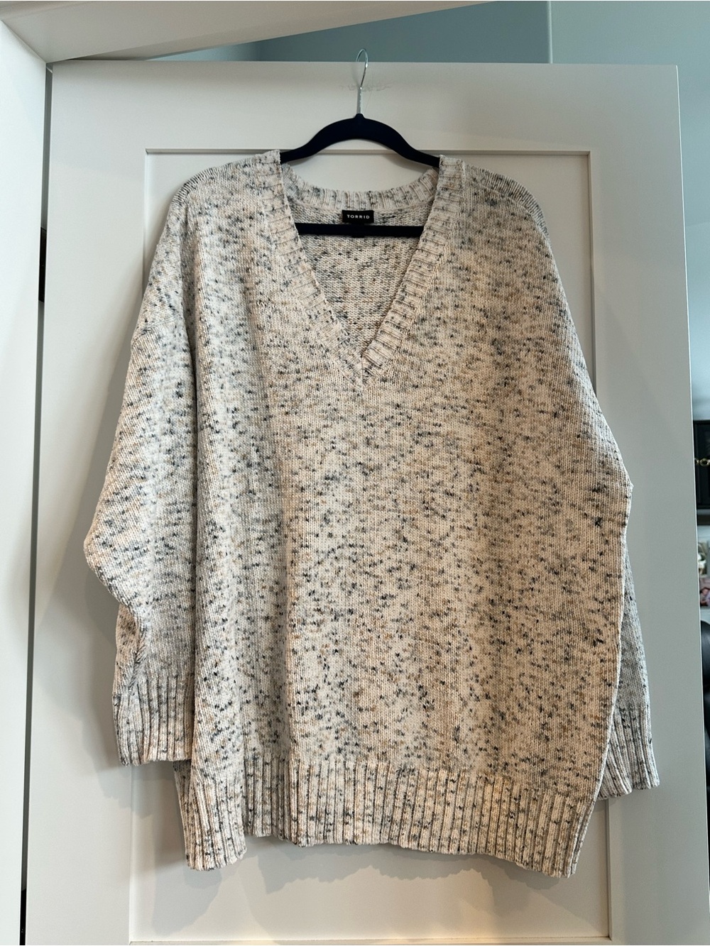 torrid Speckled V-Neck Sweater